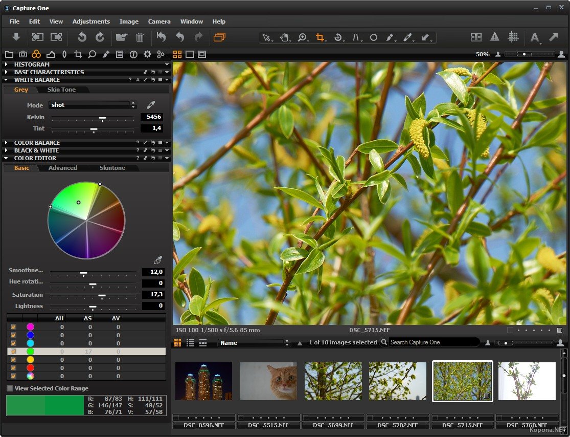 Capture one программа для обработки фотографий